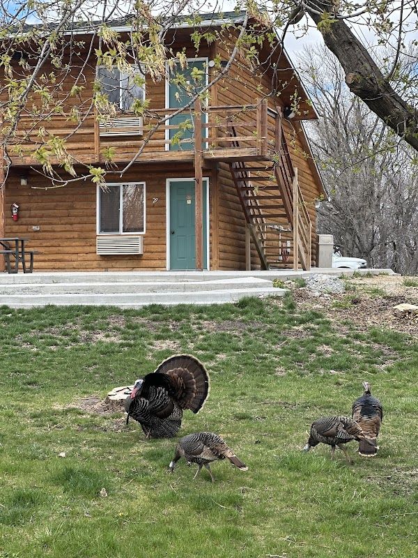 Cutty's Okoboji Resort Club