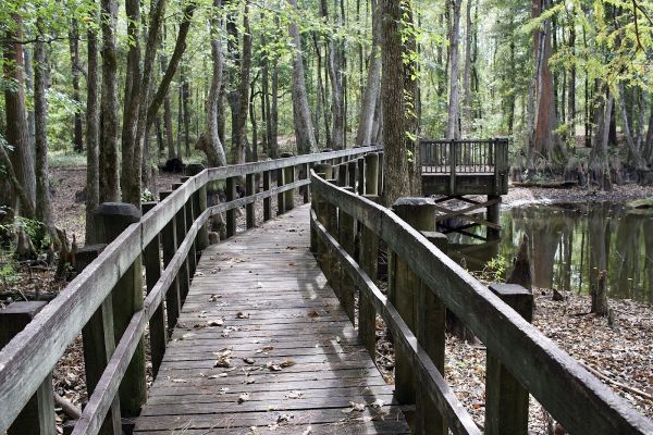 PICKENSVILLE CG (PICKENSVILLE AL)