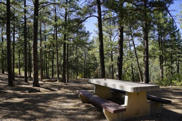 PINE FLAT PICNIC SITES - A and B