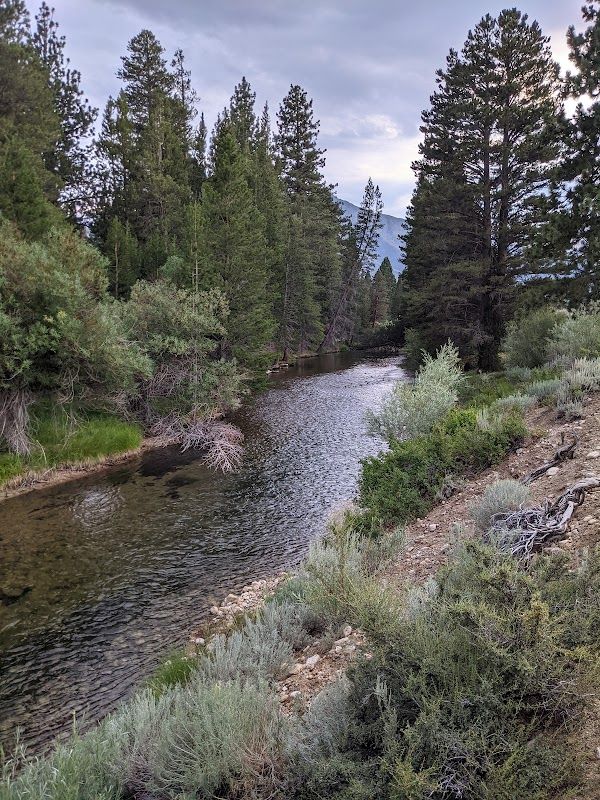 ROBINSON CREEK NORTH