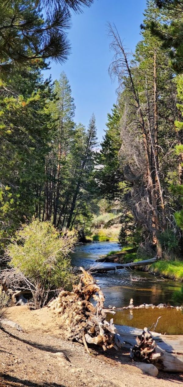 ROBINSON CREEK SOUTH