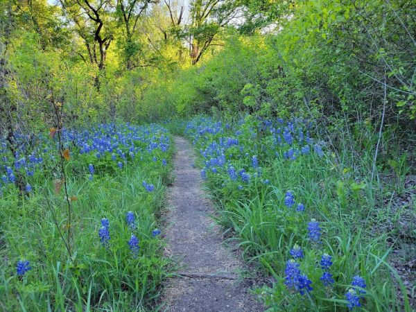 ROCKY CREEK PARK (BENBROOK LAKE)