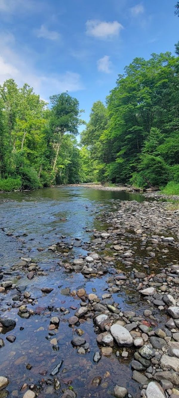 Rivers Bend Group Campground