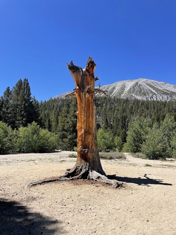 Rock Creek (Sierra National Forest, CA)