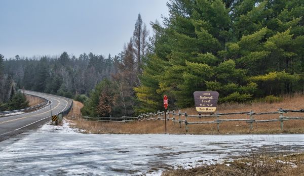 SOUTH BRANCH TRAIL CAMP GROUP SITE