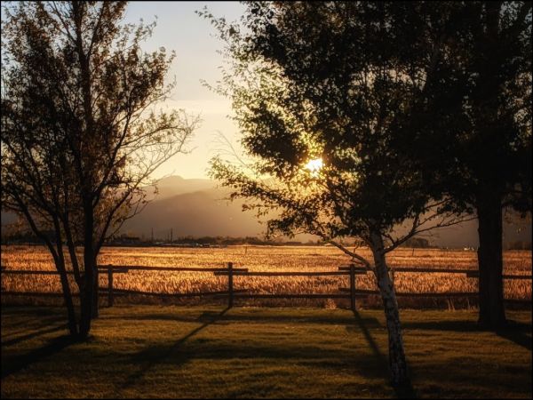 SOUTH FORK (WYOMING)