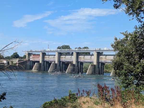 SYCAMORE GROVE (RED BLUFF) CAMPGROUND