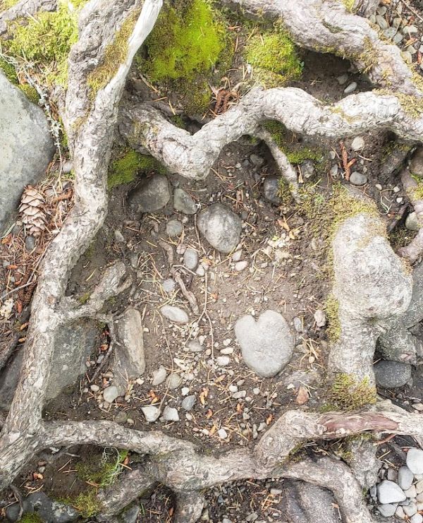 TROUT LAKE CREEK CG (WA) GIFFORD PINCHOT NF