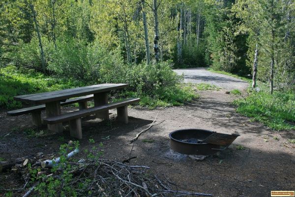 UPPER PENSTEMON CAMPGROUND