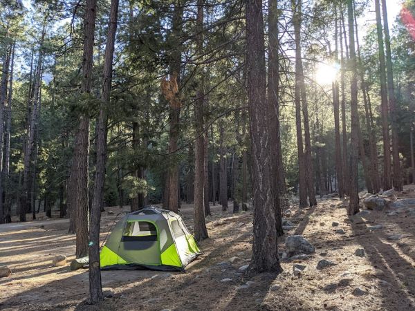 UPPER TWILIGHT GROUP SITE