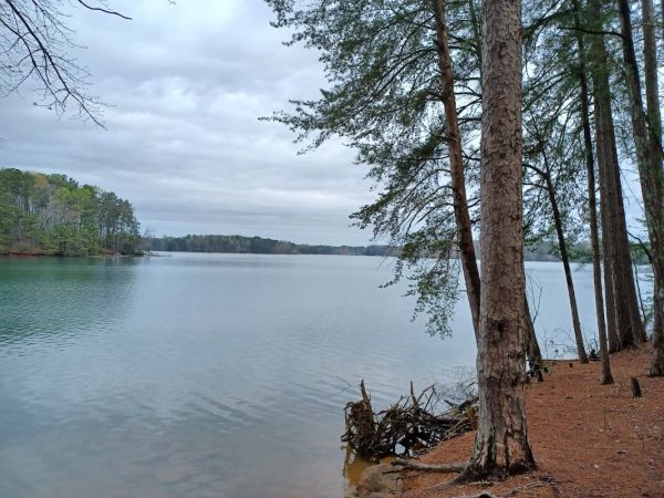 VAN PUGH NORTH PARK SHELTER (GA)