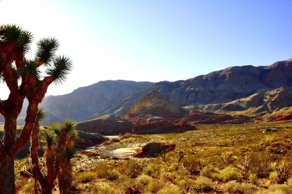 Virgin River Canyon Recreation Area