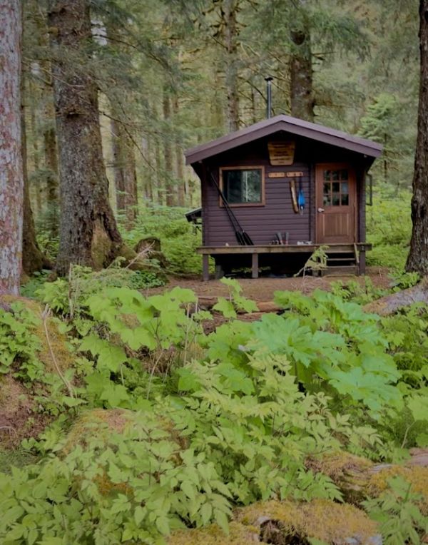 YOUNG LAKE (NORTH) CABIN