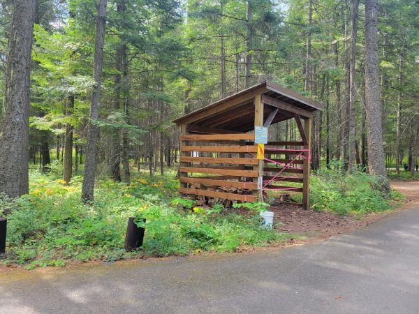 Yaak River Campground (MT)