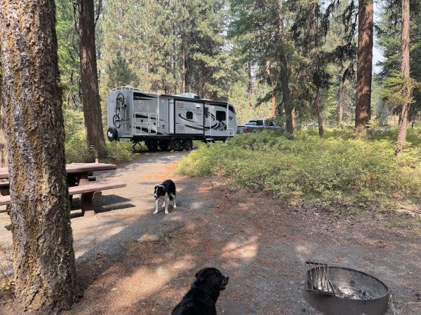 Yellow Pine Campground (Wallowa-Whitman)