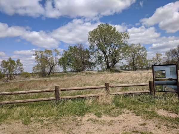 Bow Creek Primitive Camping