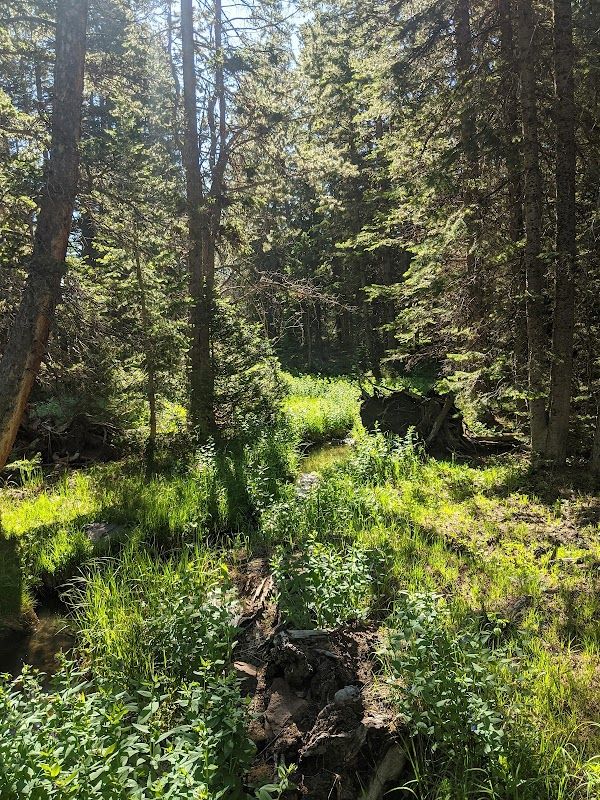 Grave Springs Campground