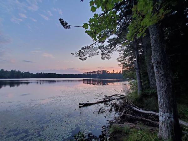 Emily Lake State Forest Campground