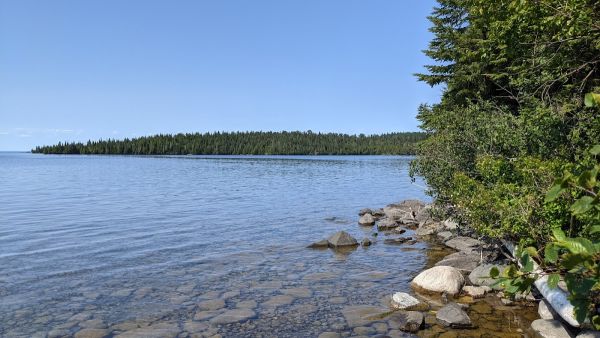 Lane Cove Campground