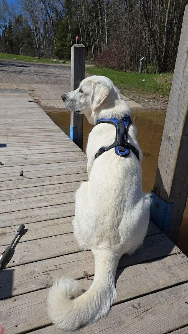 Munuscong River State Forest Campground