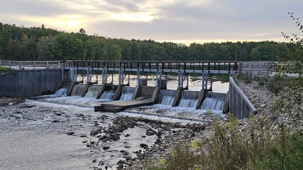 Shelldrake Dam State Forest Campground