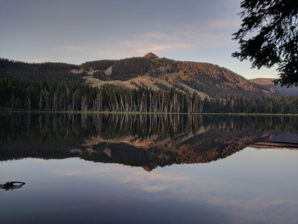 White Pass Lake (Leech Lake) Campground