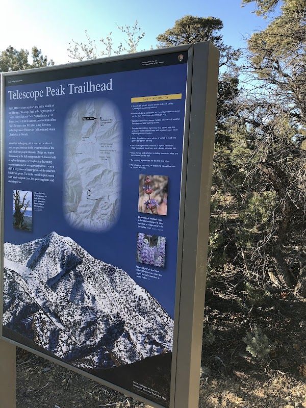 Mahogany Flat Campground (Primitive)