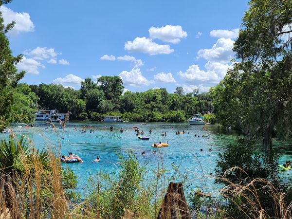 Silver Glen Springs Recreation Area Vehicle Reservations