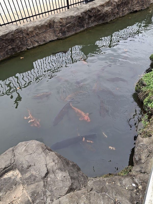 Mammoth Spring National Fish Hatchery