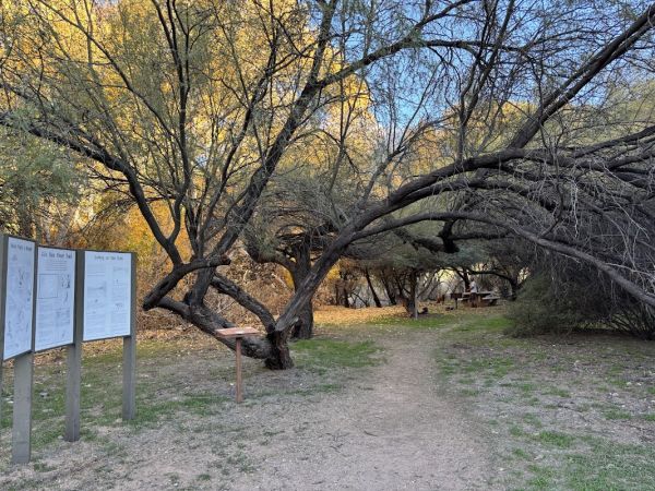 Bonita Creek Watchable Wildlife Viewing Area