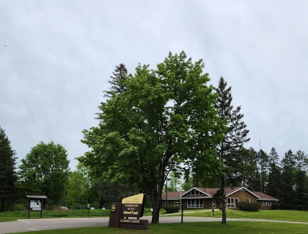 Lakewood - Laona District