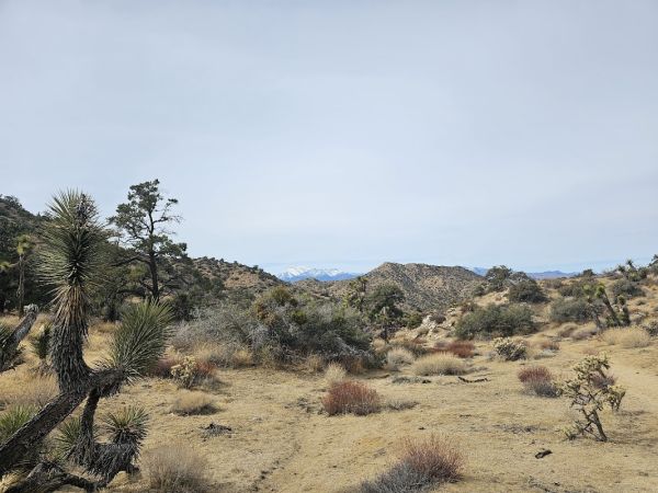 Black Rock Nature Center