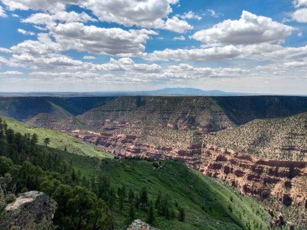 Dolores River Overlook