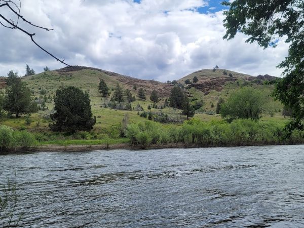 Shady Grove Picnic Area