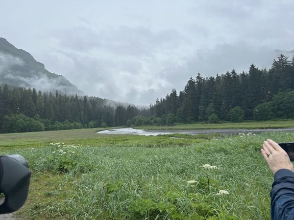 Pack Creek Bear Viewing Area