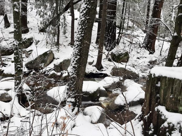 San Jacinto River North Fork - Wild & Scenic River
