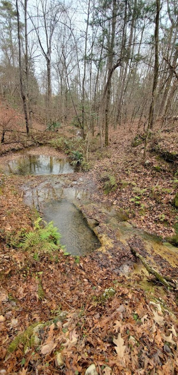 Saint Stephens Park Primitive Campground
