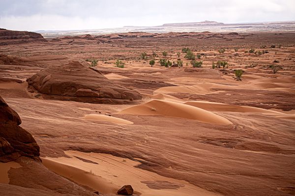 White Wash Sand Dunes Trailhead