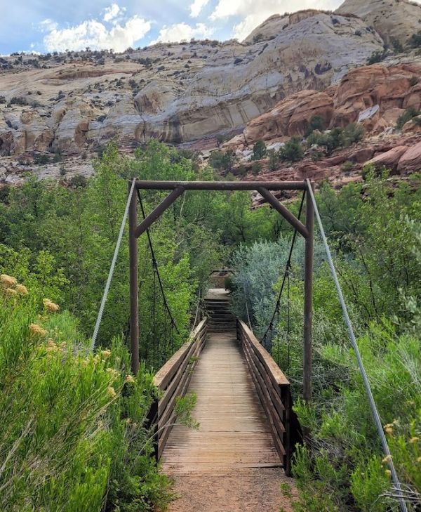 Calf Creek Recreation Area Day Use Site