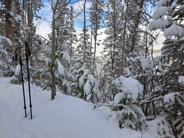 Stiffel Creek Trailhead