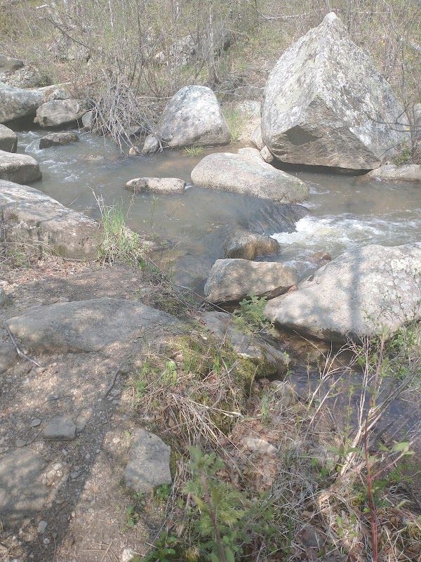 Iron Creek East Trailhead (Trail #15)