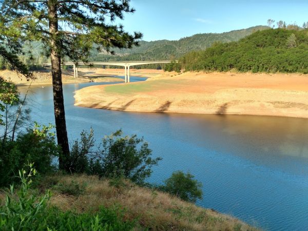 Shasta Lake Area