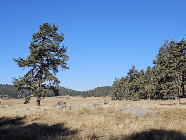 Agua Dulce Equestrian Trailhead