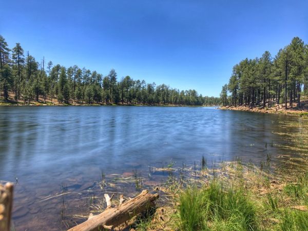 Willow Springs Lake Fishing and Boating Site