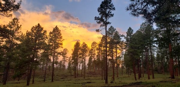 Hannagan/Aker Lake Trailhead