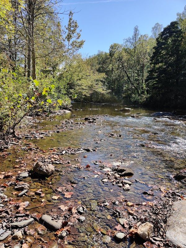 Tellico River Area
