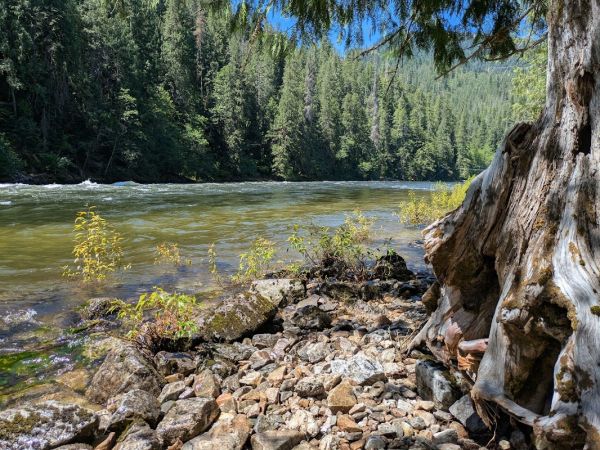 Aquarius Campground and Purple Beach Group Site