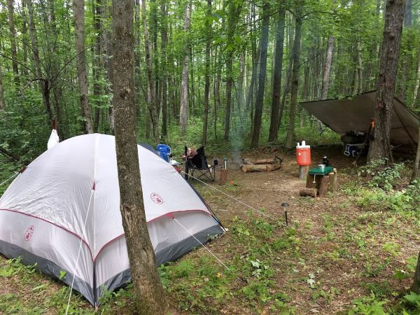 Finger Lakes - Hector District