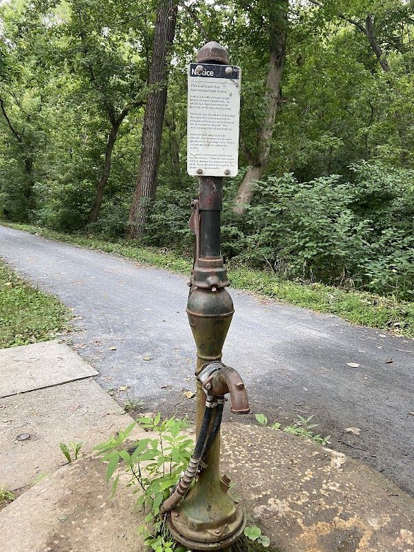 Horsepen Branch Hiker-Biker Overnight (HBO) Campsite