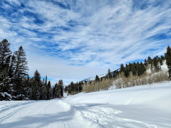 Cache Creek and Greater Snow King Area